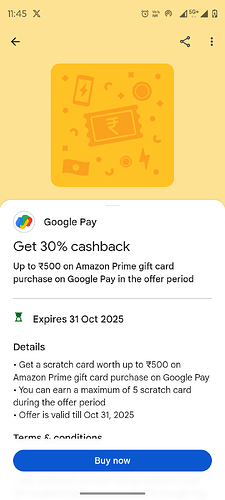 Google Pay Terms Screenshot