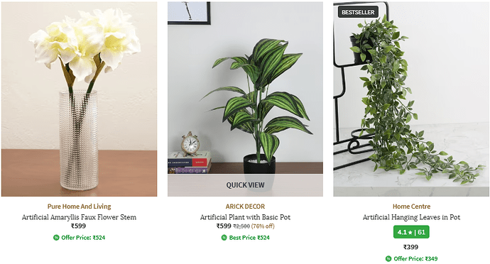 Ajio Plants and Flowers Deal