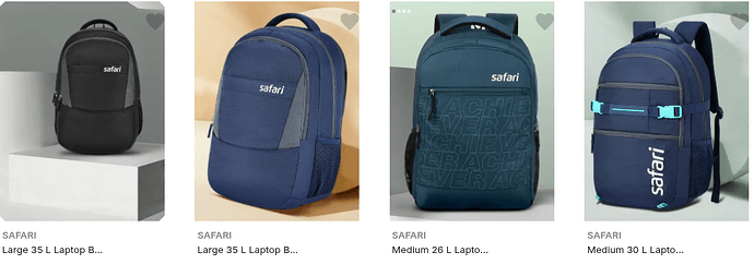 Safari Laptop Bag Styles