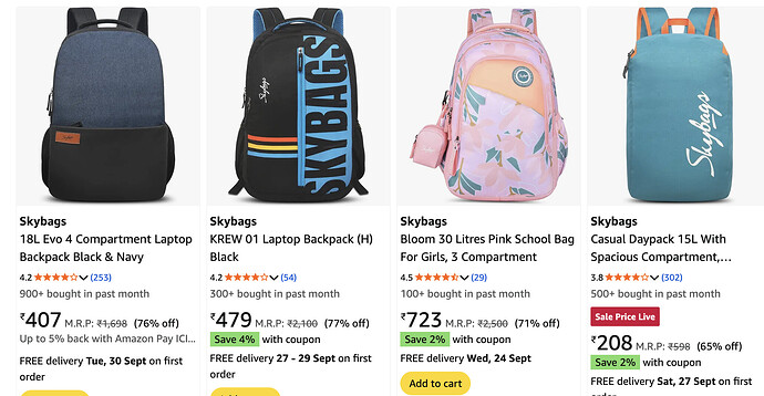 Skybags Bag