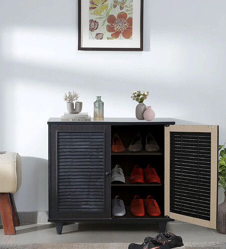 Almo 2-Door Shoe Cabinet Light Cappuccino