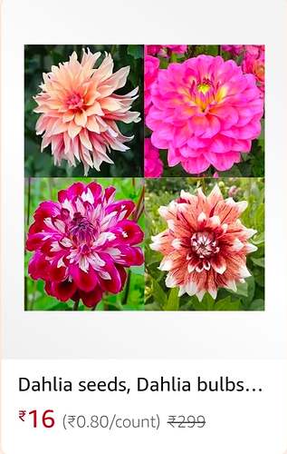 Bazaar Flower Plant Seeds