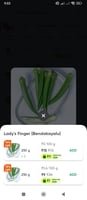 Lady's Finger (Bendakayalu) on Swiggy Instamart