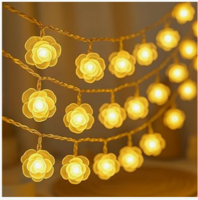 Desidiya LED Lights 90% Off