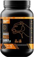 BeastLife High Protein Mass Gainer