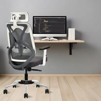 IAFA Ergolux High Back Ergonomic Office & Study Chair