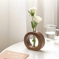 Modern Glass Test Tube Planter with Wood Stand