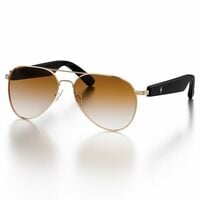 Fire-Boltt Fire-Lens Sway Smart Glasses