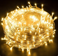 DesiDiya Pixel LED String Lights