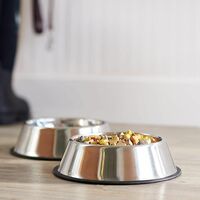 Pets Empire Anti-Skid Stainless Steel Pet Bowl