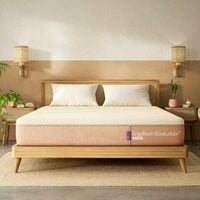 Wakefit ErgoTech EcoLatex Mattress