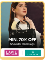 Myntra Handbags Sale