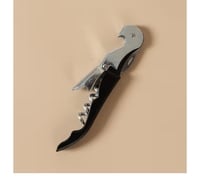 PicFest Stainless Steel Wine Bottle Opener