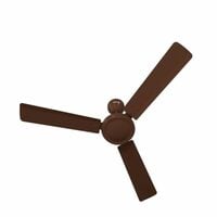 Bajaj Robusta Plus 1200mm Base Brown Ceiling Fan