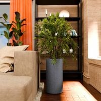 YUCCABE ITALIA FOXB CILIN Plant Pots