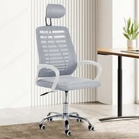 Casa Copenhagen Mesh Office Desk Chair