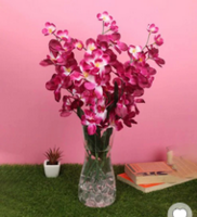 Pepperfry Festive Sale