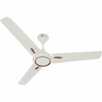 RR Signature Neoair Deco Ceiling Fan