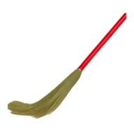 Capsicum Broom Deal